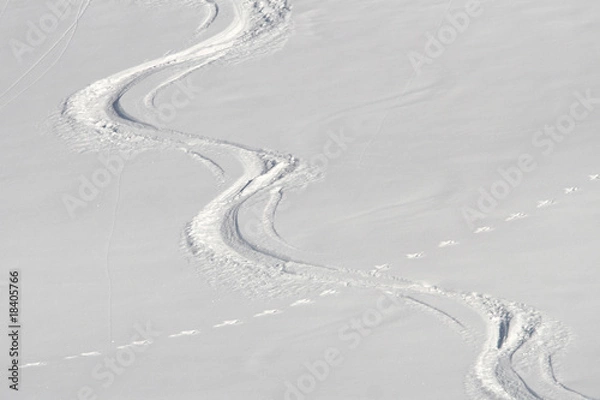 Obraz Skispur im Pulverschnee