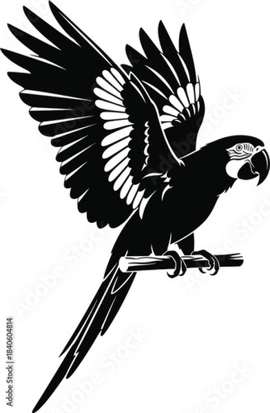 Obraz Parrot with Spread Wings Perched Bird Silhouette Vector