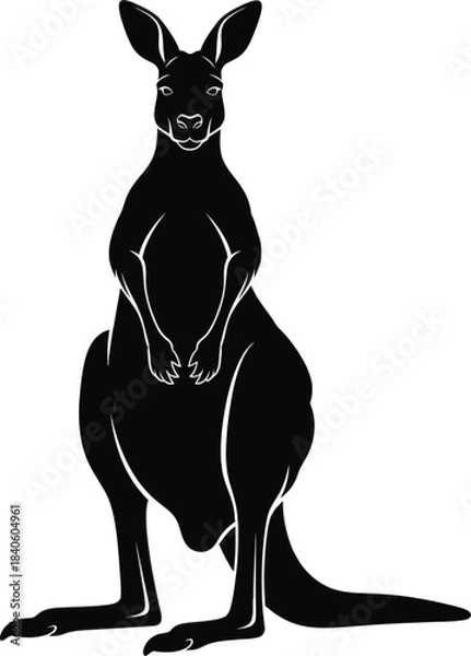 Obraz Kangaroo Front View Silhouette Australian Animal Vector