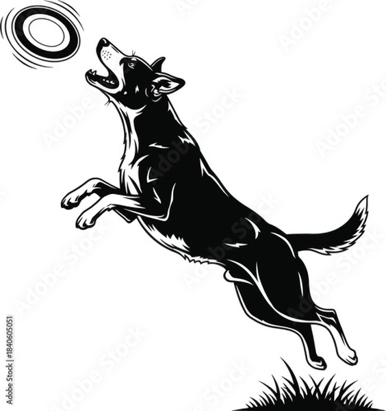Obraz Jumping Dog Catching Disc Active Pet Vector