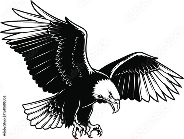 Obraz Bald Eagle with Spread Wings Fierce Raptor Vector