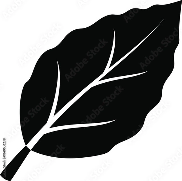 Obraz Leaf Silhouette Botanical Nature Vector