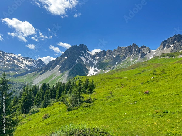Obraz Alpine Meadow among the Trees on a Summer Day in France