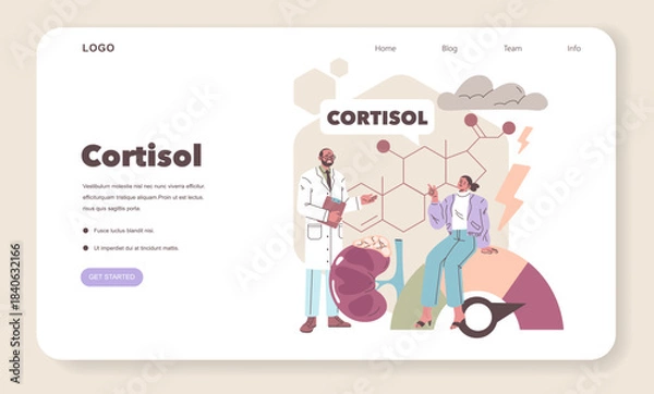 Obraz Cortisol Concept Vector Illustration with Discussion