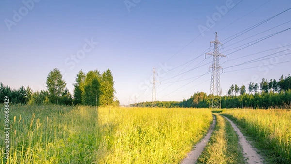 Fototapeta Road runs through a field of tall grass