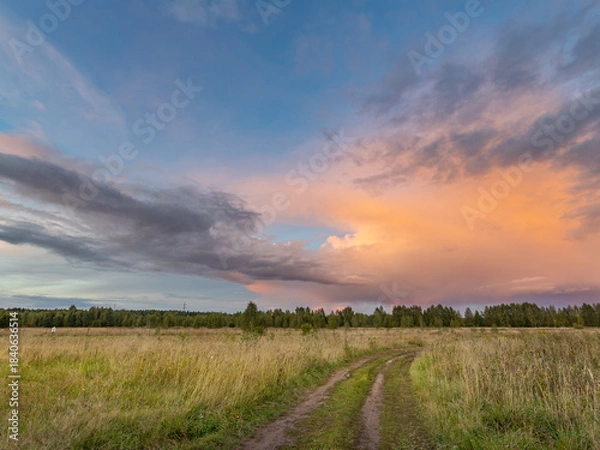 Fototapeta Road runs through a field of tall grass