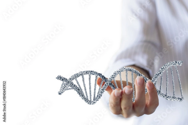 Obraz Hand with DNA model.