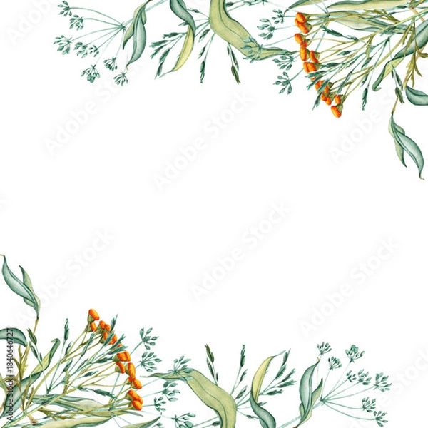 Fototapeta Watercolor frame of bouquet meadow leaves and yellow tansy, flowers, branches and wild dry grass. Evergreen grass field in nature, meadow in springtime. Summer botany. Natural green tones
