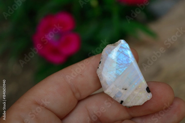 Obraz hand with moonstone gem