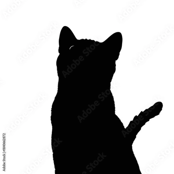 Obraz black cat silhouette