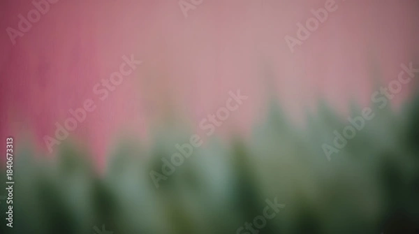 Obraz backround best photo