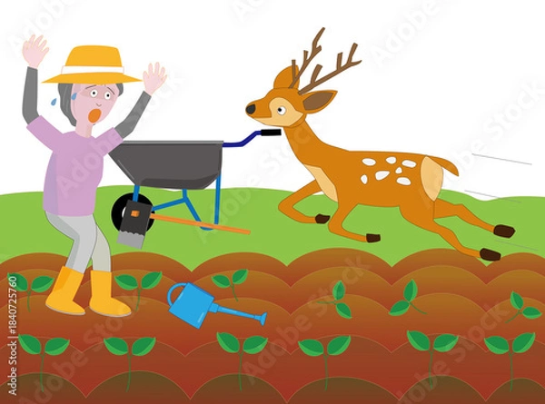 Fototapeta 鹿と出会って驚く女性