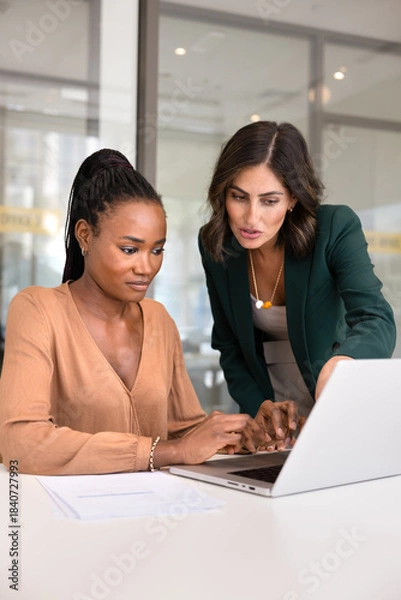 Obraz Young Latin mentor training new African employee at laptop, pointing at screen, explaining application work, giving feedback, advice, professional support, consultation. Vertical shot