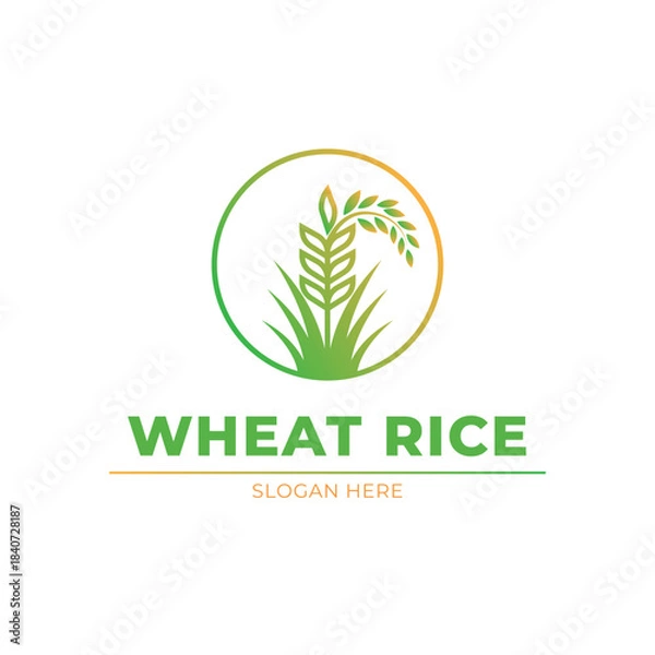 Fototapeta wheat rice logo design concept idea vector label circle
