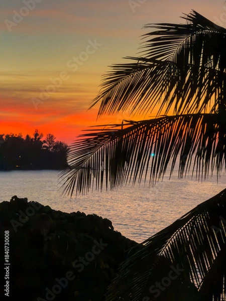 Fototapeta View from luxury villa at dusk, palm tree, sea and orange sky on background, island