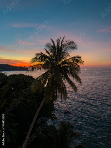 Fototapeta View from luxury villa at dusk, palm tree, sea and orange sky on background, island