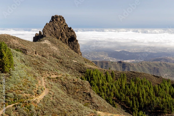 Fototapeta gran canaria