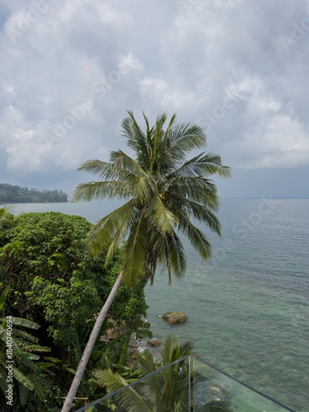 Fototapeta stone staircase leading through tropical trees to the sea and rocky coast, palm trees, surf, azure water