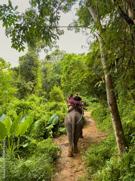 Fototapeta A man and a woman couple riding an elephant in the jungle in cloudy weather, rear view of the elephant