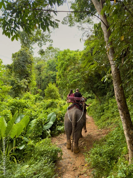 Fototapeta A man and a woman couple riding an elephant in the jungle in cloudy weather, rear view of the elephant