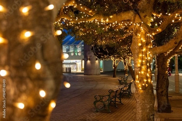 Fototapeta 日立駅前のクリスマスイルミネーション