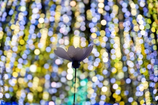 Fototapeta 日立駅前のクリスマスイルミネーション