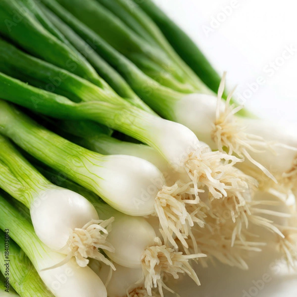 Obraz Fresh green onions arranged neatly with vibrant stalks and crisp white bulbs. Ideal for recipe content, grocery ads, healthy cooking visuals, and clean food photography.