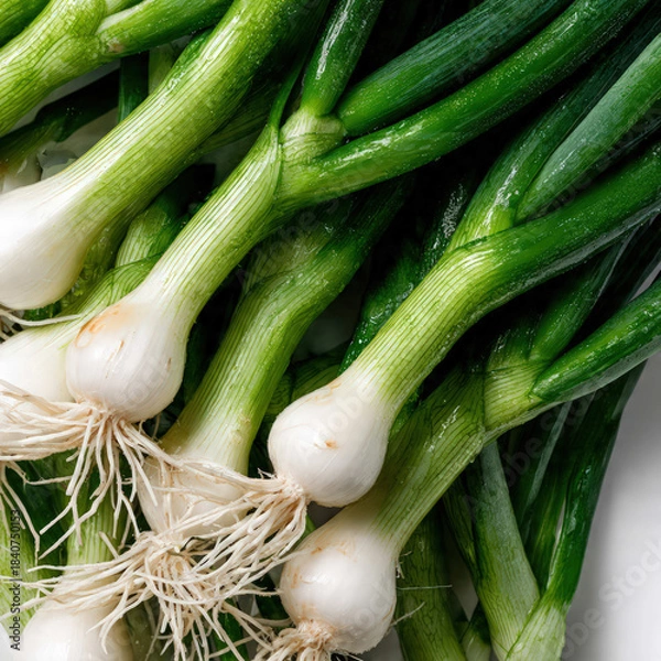 Obraz Top-view photo of green onions spread across a clean surface, capturing freshness and vivid hues. Suitable for healthy eating campaigns and farm-to-table presentations.