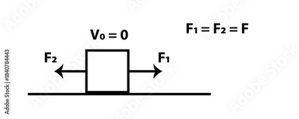 Fototapeta Equilibrium Of A Block With Equal Opposing Forces On A Surface Demonstrating Newton's First Law