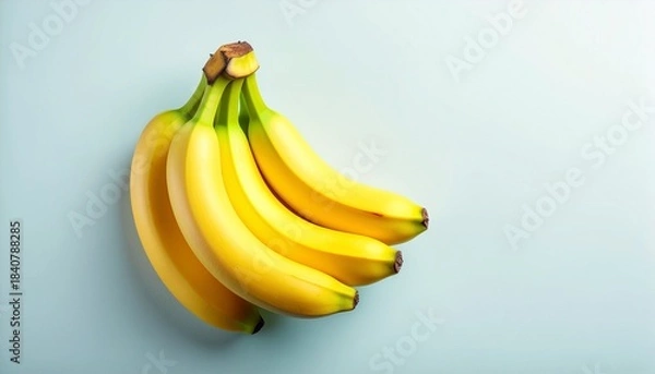 Fototapeta High Angle View of a Bunch of Five Perfectly Ripe Yellow Bananas Resting on a Soft Light Blue Background