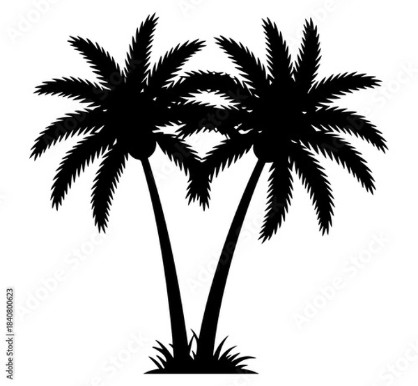Obraz Silhouette of two tall palm trees on white background