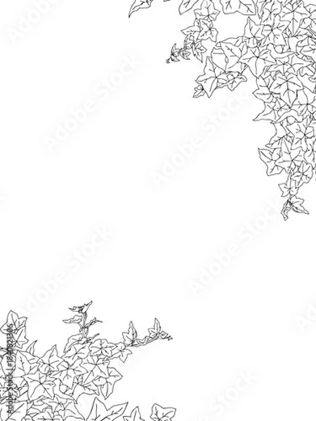 Obraz アイビーの線画フレーム②縦_ななめ_黒