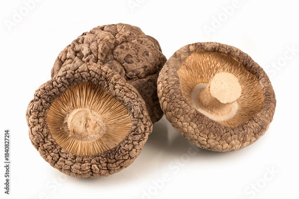 Obraz  Dry shiitake mushrooms isolated on white background