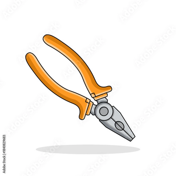 Obraz Combination Pliers on white background