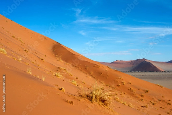 Obraz desert sand dunes  Sossusvlei, Namibia