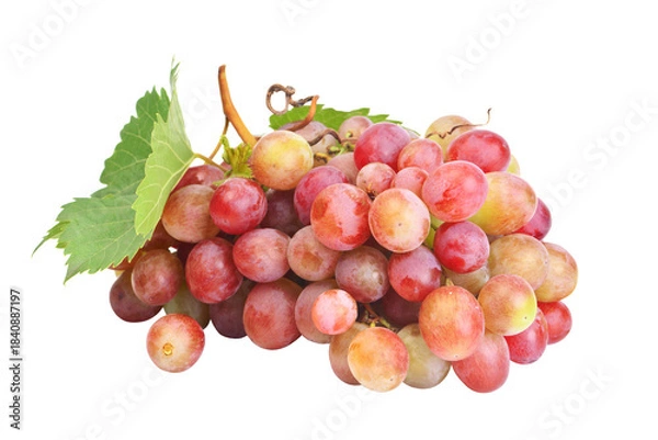 Obraz Bunch of grapes isolated