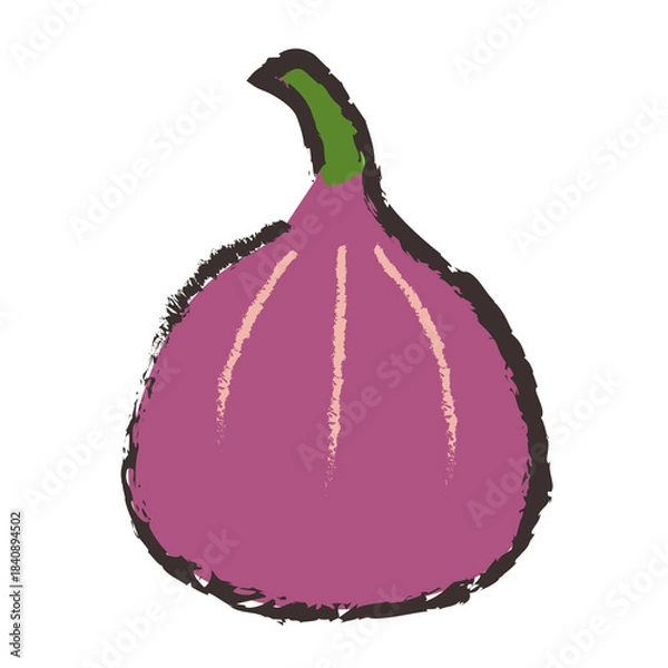 Fototapeta イチジクのイラスト
