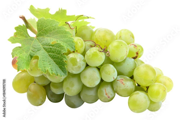 Obraz Green grapes isolated on white