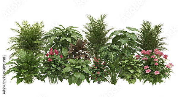 Obraz branch of pine tree