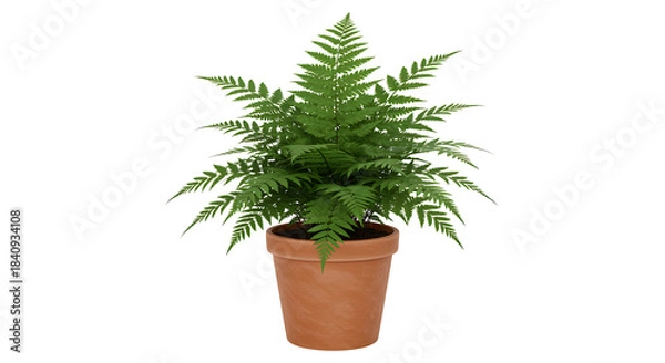 Obraz plant in a pot