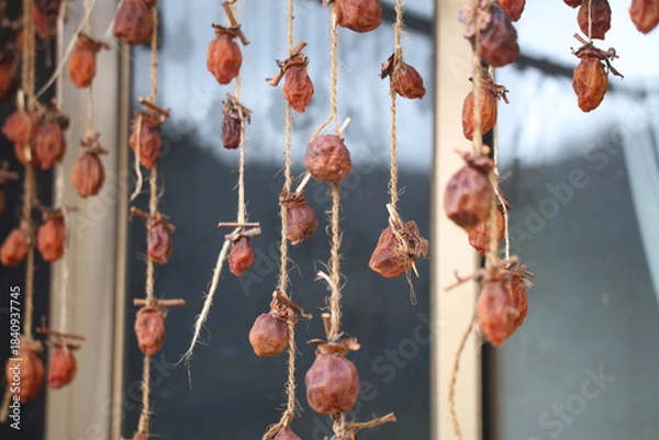 Obraz 	風に揺れる干し柿