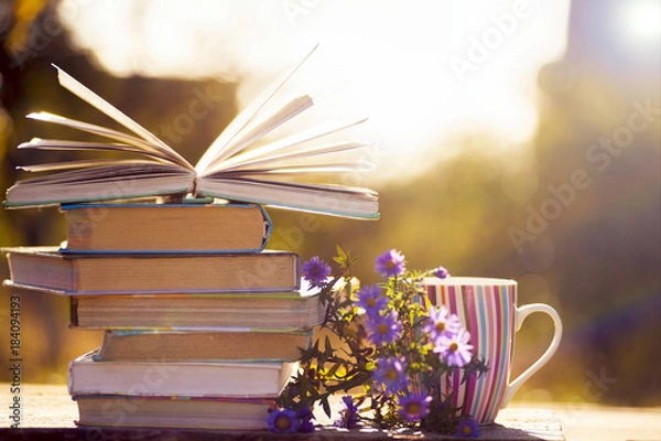 Fototapeta Open book on wooden table on natural background. Soft focus
