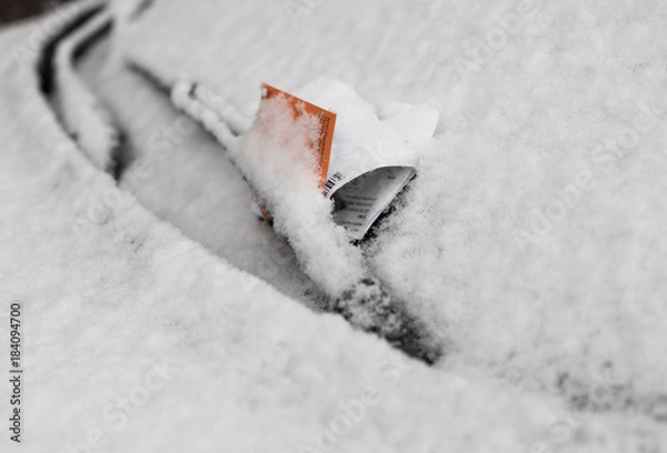 Obraz Parking summonns