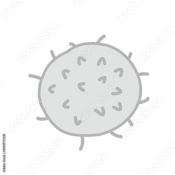 Obraz white blood cells vector