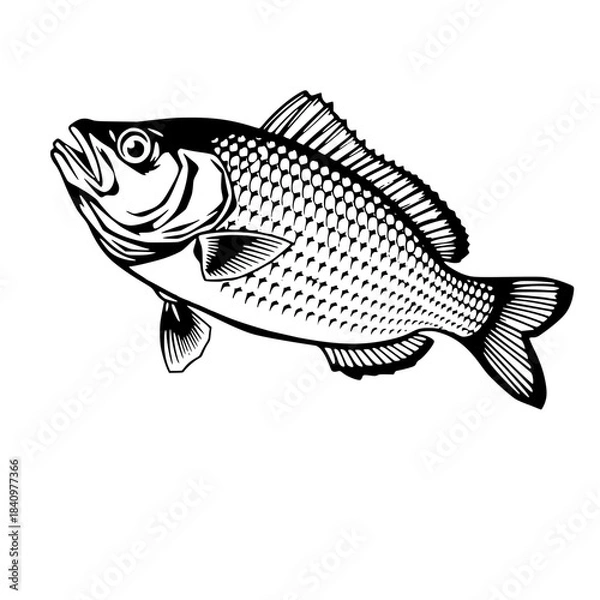 Obraz fish on a hook