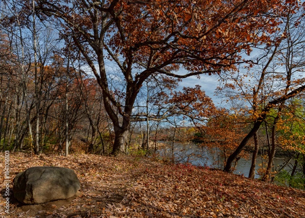 Obraz 688-74 DuPage Autumn View