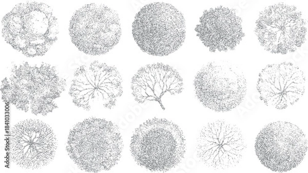 Obraz Fifteen diverse grey stippled tree top views arranged in three rows on a white background overhead aerial