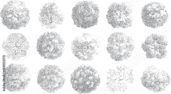 Obraz Fifteen top down view stylized grey trees with detailed branch structures and textured foliage on a white background