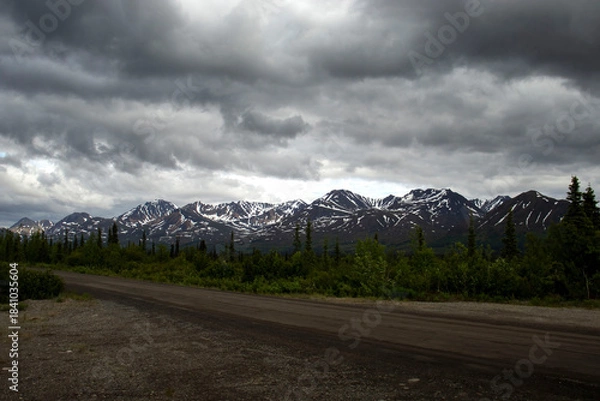 Fototapeta Mountains on the Denali Highway