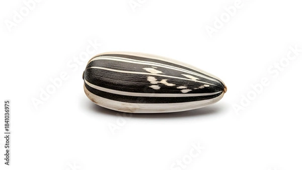 Obraz Single Sunflower Seed with Black and White Stripes Isolated on White Background